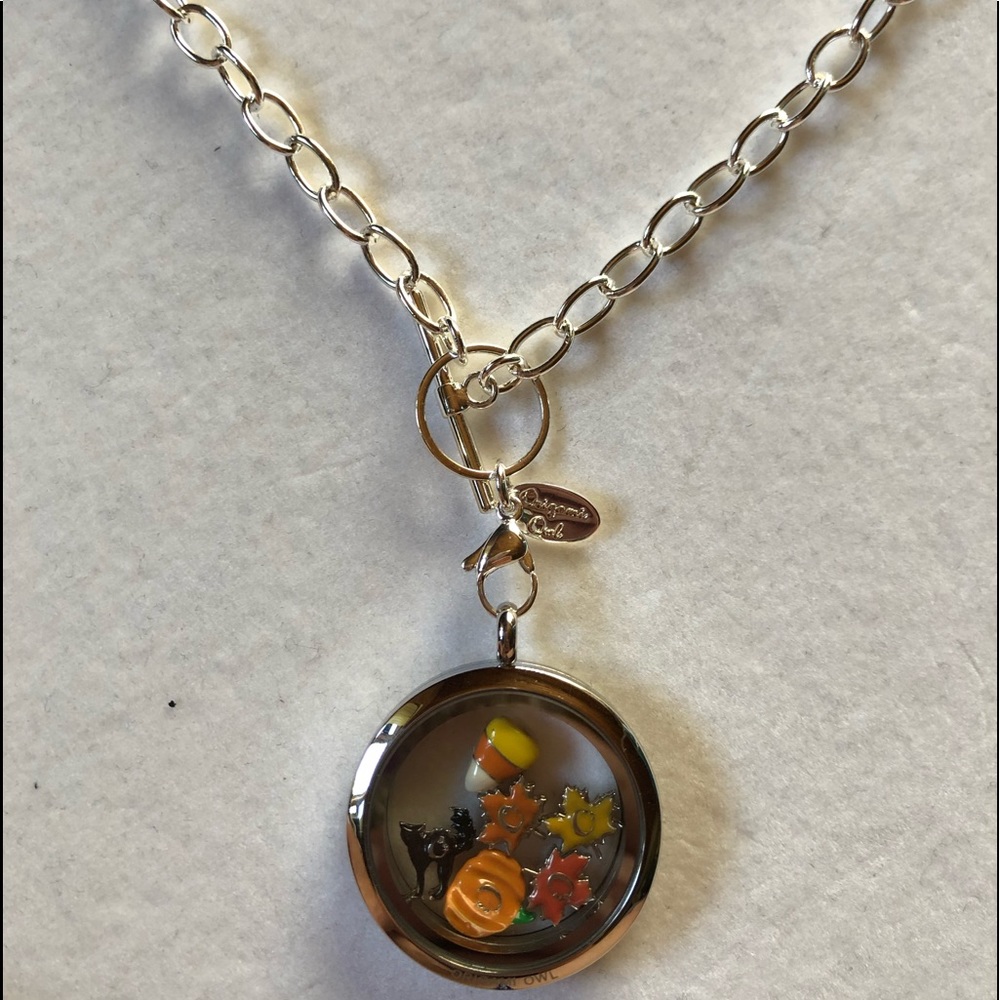 Origami Owl Locket Necklace